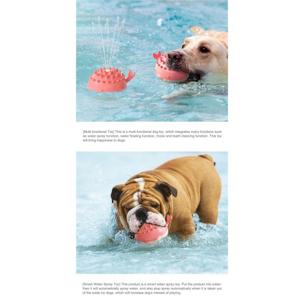 Hot Sale New Little Crocodile Spray Toy Water Dog Toy For Summer Dogs