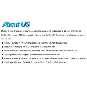 Plastic Electric Cigarette Lighter Children Resistance Dy-055 With Customized