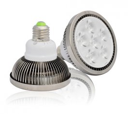 LED PAR30 6W PAR Lamp