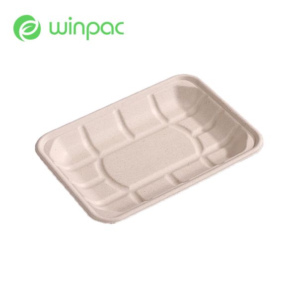 Buy Paper Fruit 8in Sugarcane Bagasse Tray Pulp Eco Biodegradable Sustainable at wholesale prices