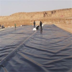 Store Sales Promotion HDPE Geomembrane Liner for Plastic Protection Requirements