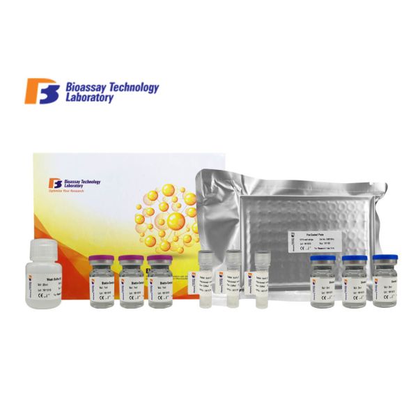 MARK4 ELISA Kit ELISA Assay Kit Human MAP Microtubule Affinity Regulating Kinase