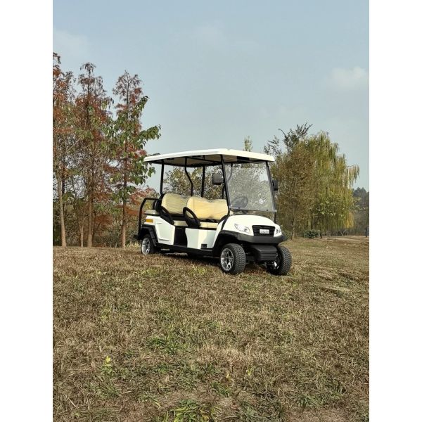 4 Front Seat and 2 Back Seat Electric Golf Cart 48V Lithium Battery Powered