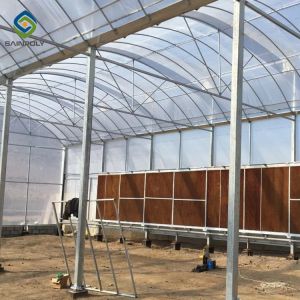 20-33ft pe film multi span plastic shed film greenhouses for agriculture
