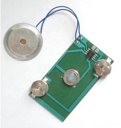 Custom audio recording Recordable Sound Module buttons with pull-tab switch