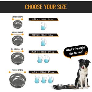 Food Water Dog Food Bowls With Skid Resistant Silicone Mat