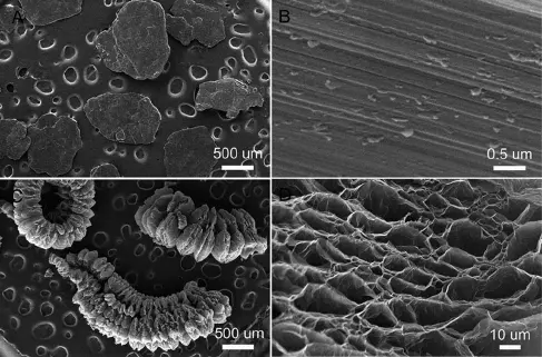 Natural Expandable Graphite Powder Per KG Graphite Powder 200 Mesh