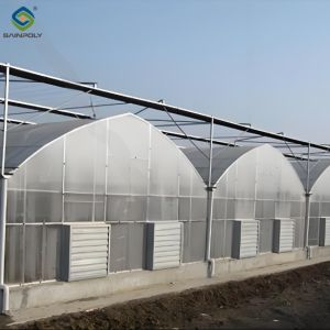 Easy To Assemble Multi Span Greenhouse For Growing Vegetables And Flowers