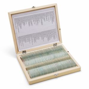 Shockproof Gift Fixed Medical Research 100pcs Microbiology Prepared Slides