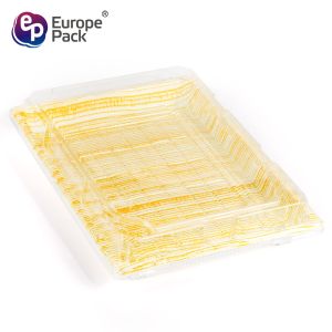 Newest design 10 inch square shape takeaway disposable patisserie sushi