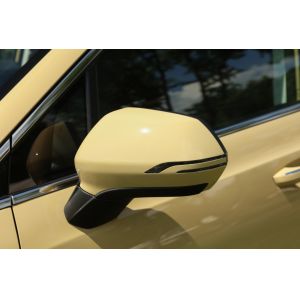 RADAR RD6 Pure Electric Pickup Truck High Power Electric Cars