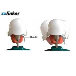 Dental Simulator Unit Teaching System Phantom Head Model with Body for Students