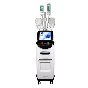 Ideal Body Results With Cryolipolysis Slimming Machine