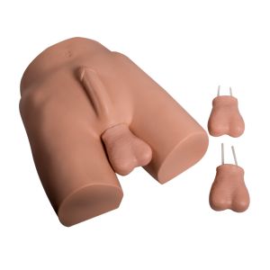 Quality NSV Vasoligation Training Medical Models Environmental Friendly for sale