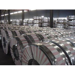 DX51D+Z - DX53D+Z Hot Dipped Galvanized Steel Strip Cold or Hot Rolled For
