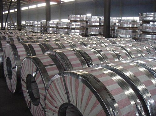 DX51D+Z - DX53D+Z Hot Dipped Galvanized Steel Strip Cold or Hot Rolled For