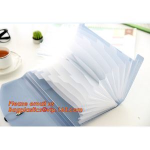 new popular a4/letter size plastic pp poly Expandable Desk top file folder