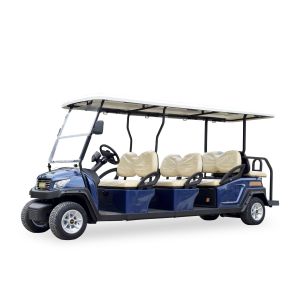 6+2 Seater Electric Golf Sightseeing Car Golf Shuttle Car With AC System Curtis