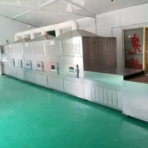 1000mm Belt Continuous Tunnel Dryer Microwave Sterilizer Industrial Drying