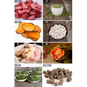 Automatic New Domestic Home Freeze Dryer Machine Restaurant