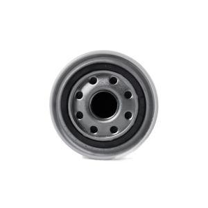 3406889 3954891 Fuel Filter Fleetguard 1814637 FS1003