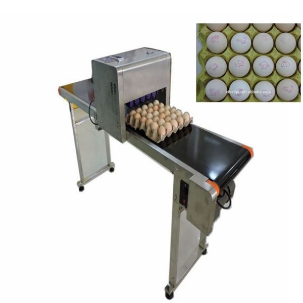 High Speed Egg Date Stamp Machine , Industrial Continuous Inkjet Printers