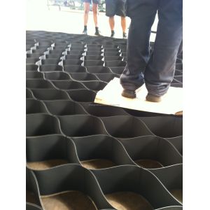 Growth Properties Monolayer Geo Cell Service Line US