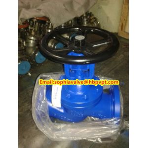 DN80 PN16 GG25 DIN globe valve