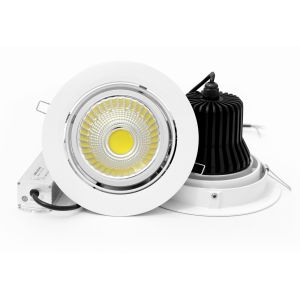 40W COB LED Downlight