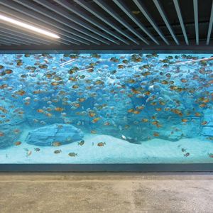 Customizable Acrylic Aquarium Fish Tank with Cutting Service Sustainable