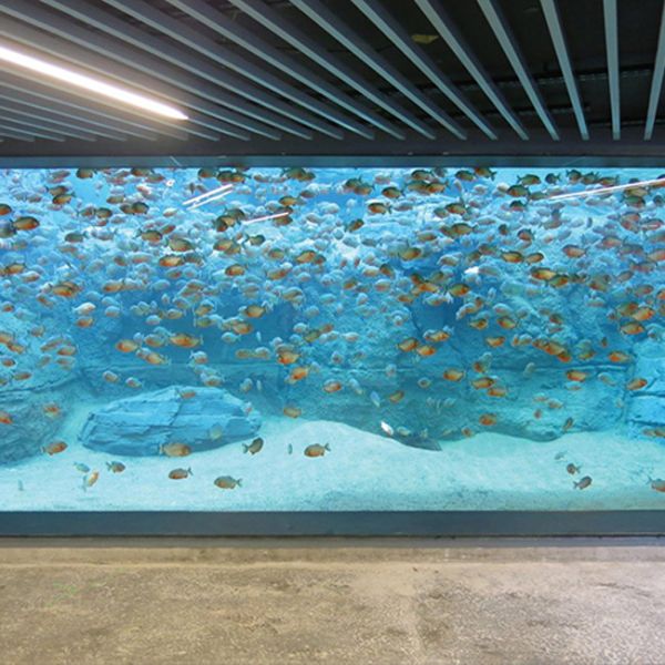 Customizable Acrylic Aquarium Fish Tank with Cutting Service Sustainable