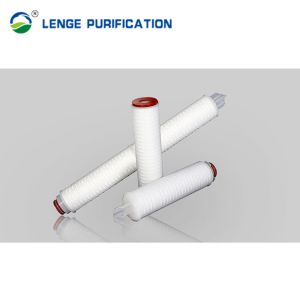 0.22μM + 0.45μM Pleated Filter Cartridge 20 Inch With Double PES Membrane