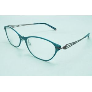 Patent hinge titanium optical frame with newest color-way sold coating titanium