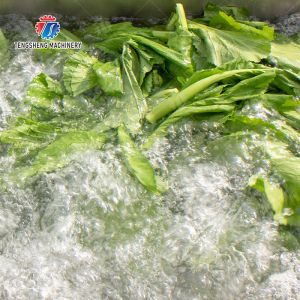 Vegetables bubble washing machine Wash Washer Washing Cleaning processing