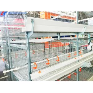 Hot Dip Galvanized Steel Chicken Layer Cages With Automatic Equipment