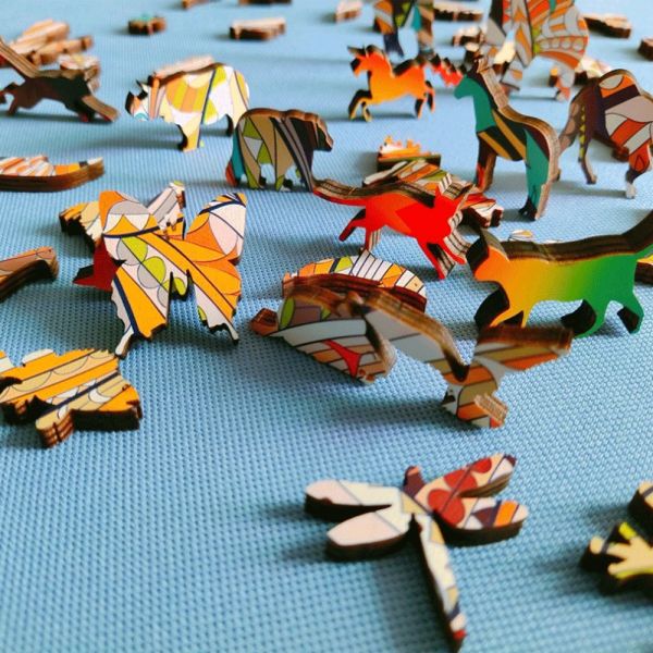 Wooden Puzzle Brain Teasers Toy Irregular Jigsaw 3D Colorful Educational Gift for Kids