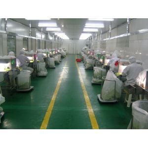 10×10×3mm Food Dehydrator Chips / Dehydrated Carrot Flakes With ISO Approval