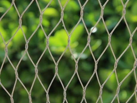 Buy Stainless Steel Wire rope aviary mesh at wholesale prices