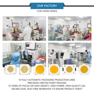 High Power 1200W CRI>95 6500K Copper Board Good Heat Dissipation Led Cob Chip