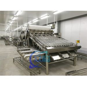 Waterproof Fish Roller Sorting Machine Mackerel Grading Machine Large Capacity