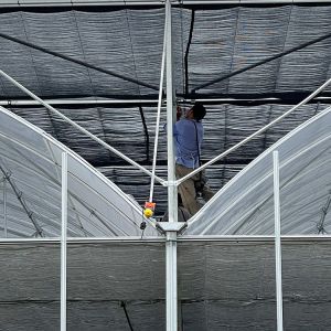 Serre Invernadero Tomato Multi Span Greenhouse Agricultural with Intelligent