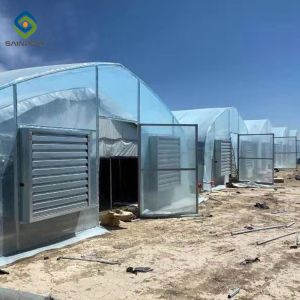 0.5KN/M2 Clear Polythene 4m Single Tunnel Greenhouse