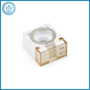 Littelfuse 58VDC Marine Rated Battery Fuses 50A - 300A