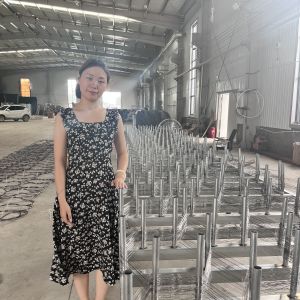 Anti-Tank Metal Wire Mesh Mzp Low Visibility Border Obstacle Defense Fence Tank