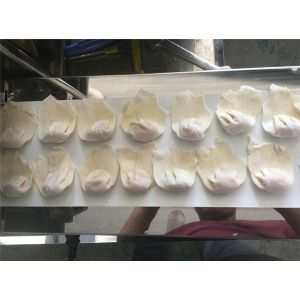 tabletop dumpling making machine, wonton making machine, huntun machine