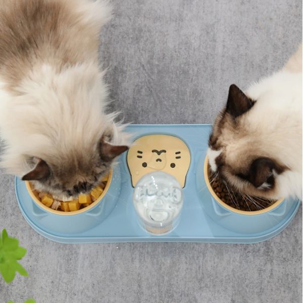 15 Degree Tilted Automatic Water Bottle Bowl Cat Double Food Bowl