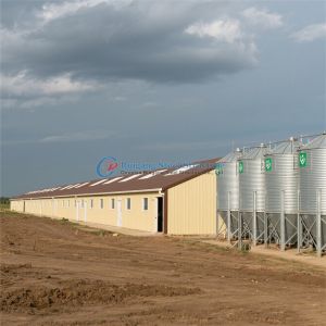 Quality Prefabricated Steel Poultry Barns Farm Shed Design Industrial Chicken House for sale