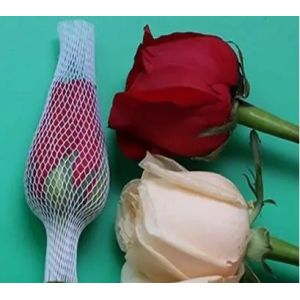 Customized Protactive Net for Outlet Sales of Plastic Mesh Rose Bud Protective