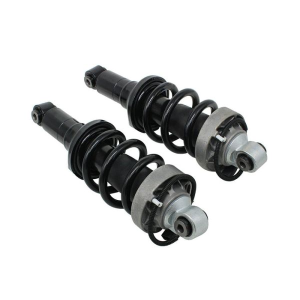 Buy 420412019AG 420412020AG Front Coil Spring Strut Shock Absorber For Audi R8 2007-2015 at wholesale prices