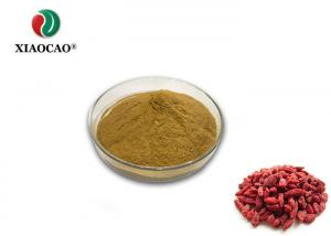 Quality Nutritional Supplement Freeze Dried Powder Organic Goji Berry Extract Powder for sale